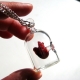 Anatomical Heart Necklace - Heart in a Jar
