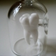 Tooth in a Jar Necklace - Kiva